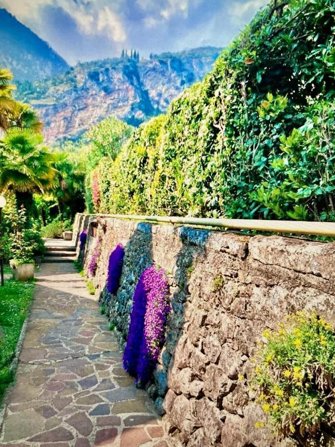 Appartamento Peppino Mit Seeblick Und Pool ริวาเดลการ์ดา ภายนอก รูปภาพ
